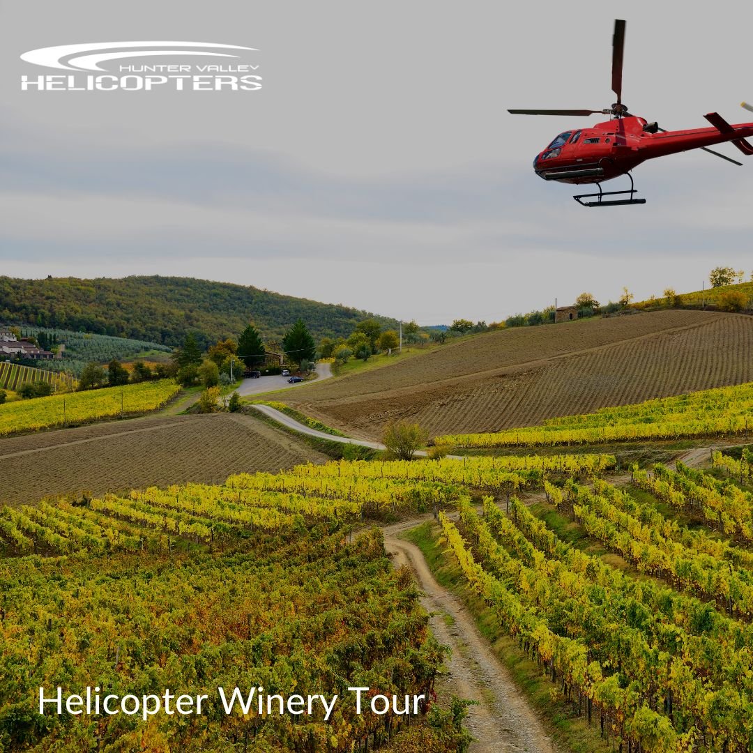 Ultimate - Experience Collection - We Wander